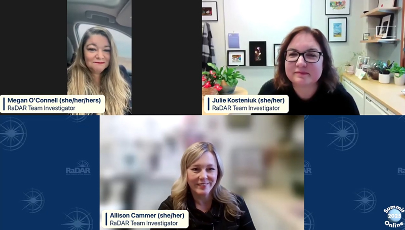 image of RaDAR panel presentation